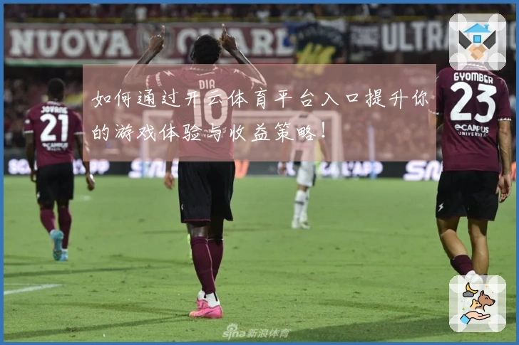 如何通过开云体育平台入口提升你的游戏体验与收益策略！
